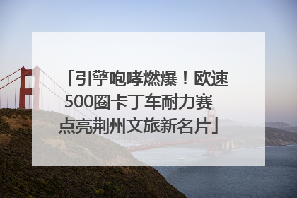 引擎咆哮燃爆！欧速500圈卡丁车耐力赛点亮荆州文旅新名片