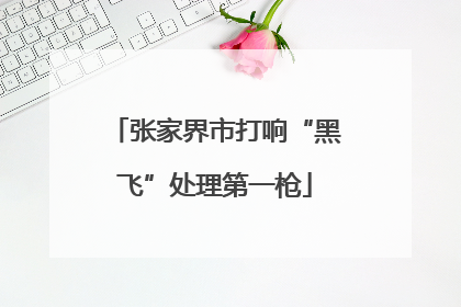 张家界市打响“黑飞”处理第一枪