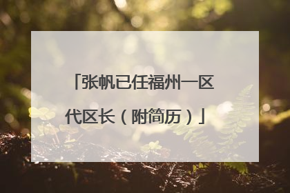 张帆已任福州一区代区长（附简历）