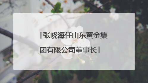 张晓海任山东黄金集团有限公司董事长