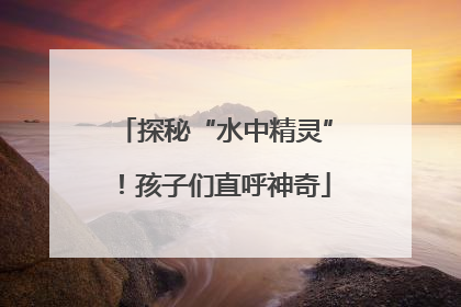 探秘“水中精灵”！孩子们直呼神奇
