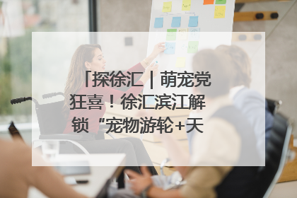探徐汇｜萌宠党狂喜！徐汇滨江解锁“宠物游轮+天台乐园”双玩法
