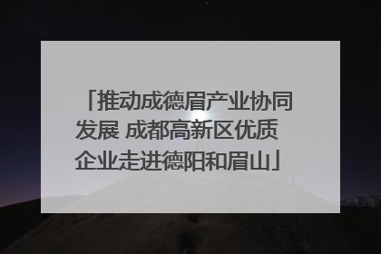 推动成德眉产业协同发展 成都高新区优质企业走进德阳和眉山