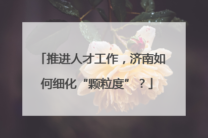 推进人才工作，济南如何细化“颗粒度”？