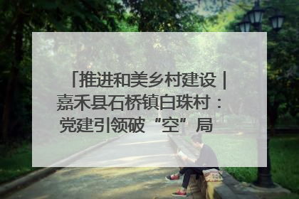 推进和美乡村建设｜嘉禾县石桥镇白珠村：党建引领破“空”局 乡贤聚力绘就新图景