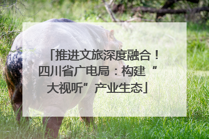 推进文旅深度融合！四川省广电局：构建“大视听”产业生态