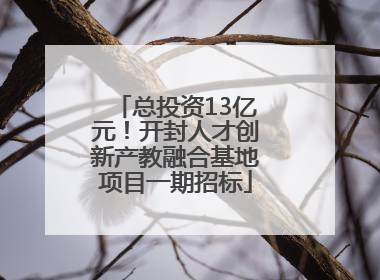 总投资13亿元！开封人才创新产教融合基地项目一期招标