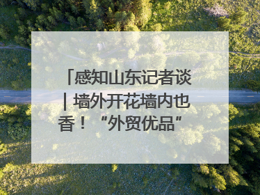 感知山东记者谈｜墙外开花墙内也香！“外贸优品”打通国内国际市场“旋转门”