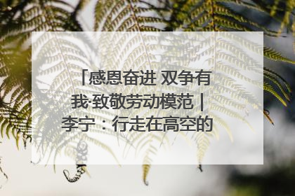 感恩奋进 双争有我·致敬劳动模范｜李宁：行走在高空的“电网卫士”