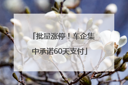 批量涨停！车企集中承诺60天支付