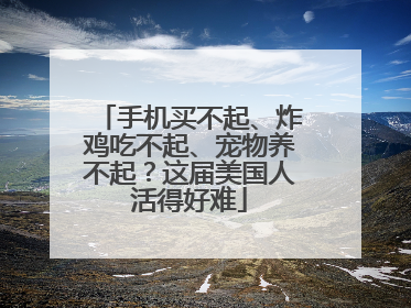 手机买不起、炸鸡吃不起、宠物养不起？这届美国人活得好难