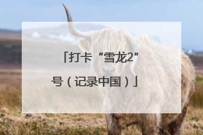 打卡“雪龙2”号（记录中国）
