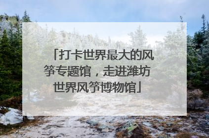 打卡世界最大的风筝专题馆，走进潍坊世界风筝博物馆