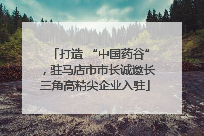 打造 “中国药谷”，驻马店市市长诚邀长三角高精尖企业入驻