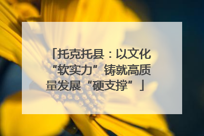 托克托县：以文化“软实力”铸就高质量发展“硬支撑”