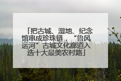 把古城、湿地、纪念馆串成珍珠链，“鲁风运河”古城文化廊道入选十大最美农村路