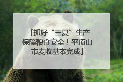 抓好“三夏”生产 保障粮食安全！平顶山市麦收基本完成