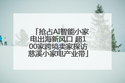 抢占AI智能小家电出海新风口 超100家跨境卖家探访慈溪小家电产业带