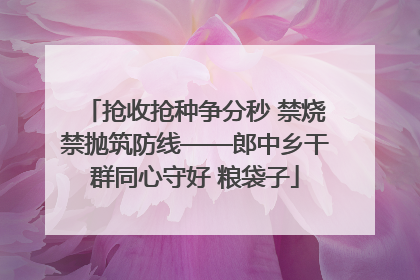 抢收抢种争分秒 禁烧禁抛筑防线——郎中乡干群同心守好 粮袋子