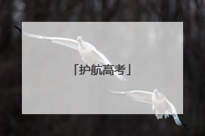 护航高考