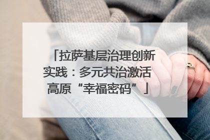 拉萨基层治理创新实践：多元共治激活高原“幸福密码”