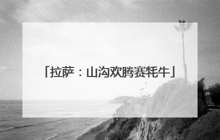拉萨：山沟欢腾赛牦牛