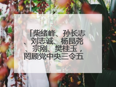 柴绪峰、孙长志、刘志诚、杨昆尧、宗刚、樊桂玉，罔顾党中央三令五申，不知敬畏、我行我素、肆意妄为！