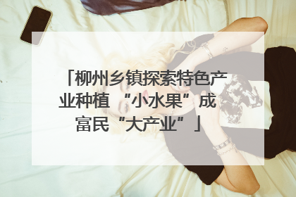 柳州乡镇探索特色产业种植 “小水果”成富民“大产业”