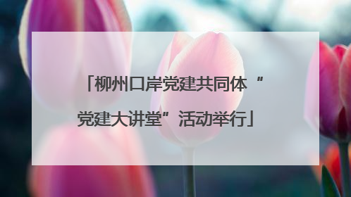 柳州口岸党建共同体“党建大讲堂”活动举行