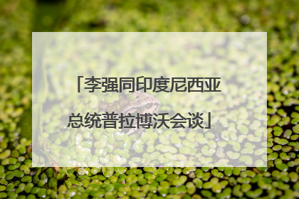 李强同印度尼西亚总统普拉博沃会谈