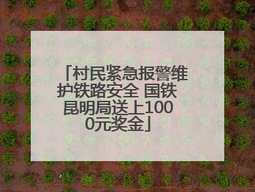 村民紧急报警维护铁路安全 国铁昆明局送上1000元奖金