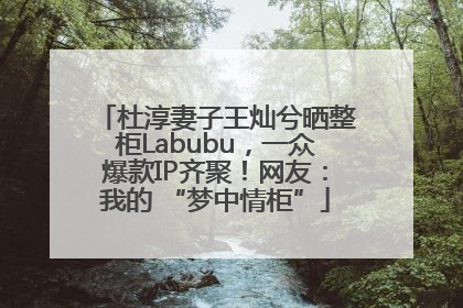 杜淳妻子王灿兮晒整柜Labubu，一众爆款IP齐聚！网友：我的 “梦中情柜”