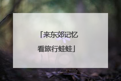 来东郊记忆 看旅行蛙蛙