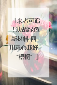 来者可追！决战绿色新材料 四川悉心栽好“梧桐”