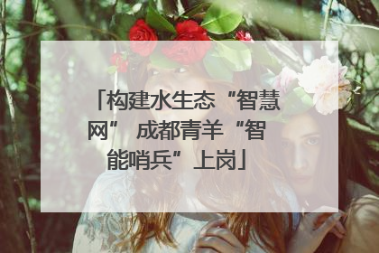 构建水生态“智慧网” 成都青羊“智能哨兵”上岗