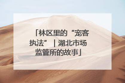林区里的“宠客执法”｜湖北市场监管所的故事