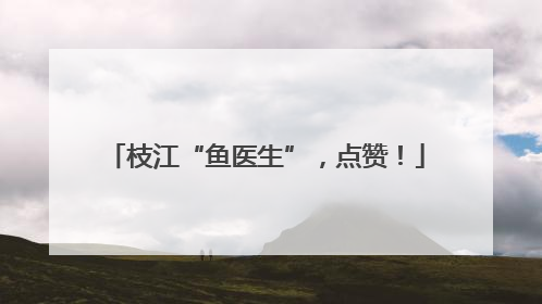 枝江“鱼医生”，点赞！