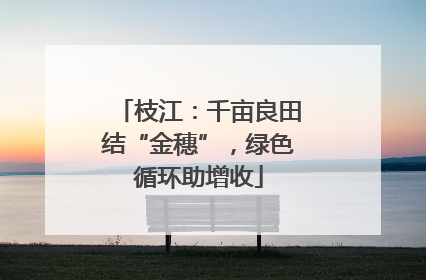 枝江：千亩良田结“金穗”，绿色循环助增收
