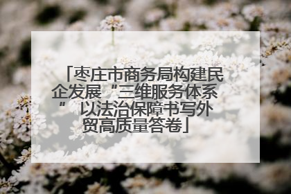 枣庄市商务局构建民企发展“三维服务体系” 以法治保障书写外贸高质量答卷