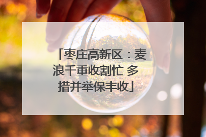枣庄高新区：麦浪千重收割忙 多措并举保丰收
