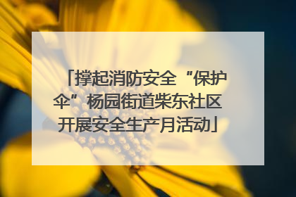 撑起消防安全“保护伞”杨园街道柴东社区开展安全生产月活动