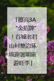 擦亮3A“金招牌”！谷城老君山村整治环境迎暑期旅游旺季