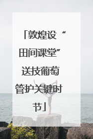 敦煌设“田间课堂” 送技葡萄管护关键时节