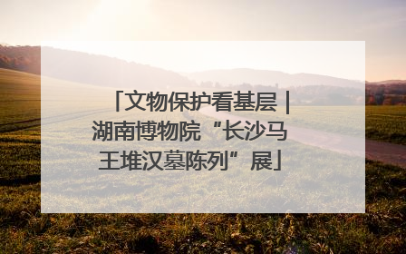 文物保护看基层｜湖南博物院“长沙马王堆汉墓陈列”展