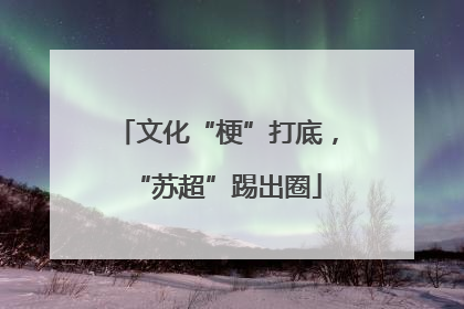 文化“梗”打底，“苏超”踢出圈