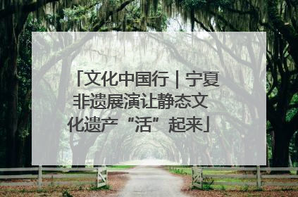 文化中国行｜宁夏 非遗展演让静态文化遗产“活”起来