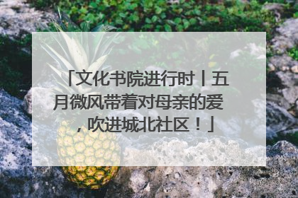 文化书院进行时丨五月微风带着对母亲的爱，吹进城北社区！
