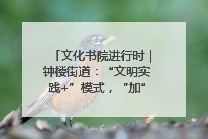 文化书院进行时｜钟楼街道：“文明实践+”模式，“加”出百姓幸福感