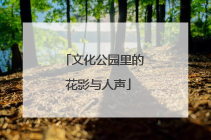 文化公园里的花影与人声