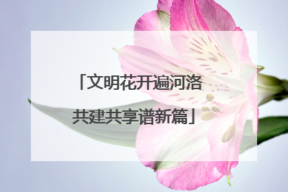 文明花开遍河洛 共建共享谱新篇